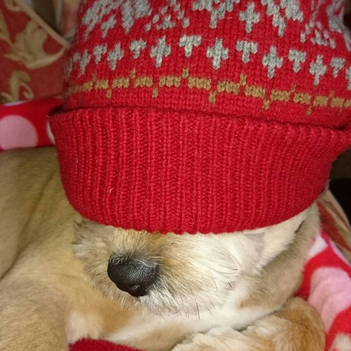 Fc4d952c e118 4aeb 9f57 f6053f61505b