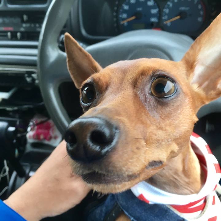 Fc4dfc75 50ab 4b43 a748 b5c1e39896c3