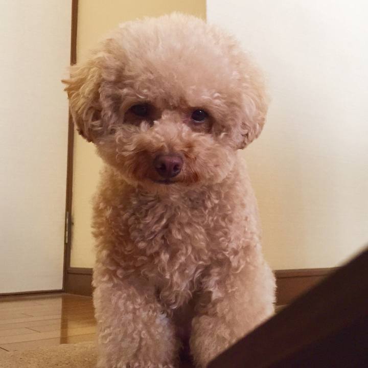 Fc4e6860 d27e 49b7 bbb5 5329eccb8273