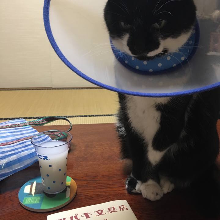 Fc4e91e5 a687 4030 b97d 83168bfe0c4a