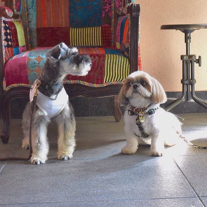 Fc4eceea 7c02 4033 8852 ee2333a74d00