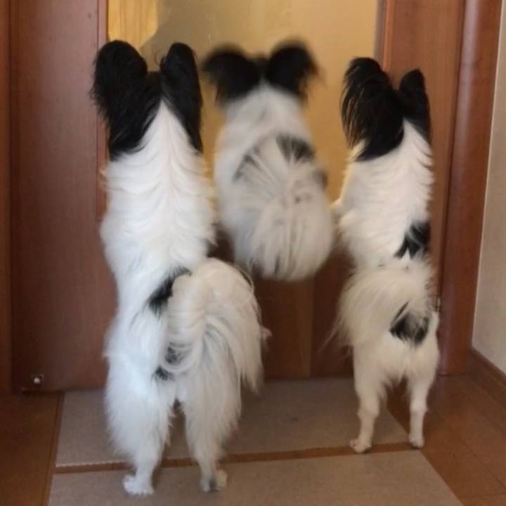 Fc4edba2 6a2e 47b9 b869 58eb3ec48f04