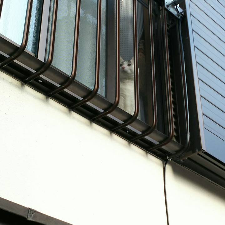 Fc4efcdb 2315 41bb b031 96d65264e9c3