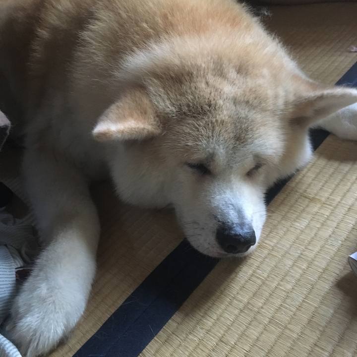 Fc4f5707 b913 4358 8a44 93af0f0357f8