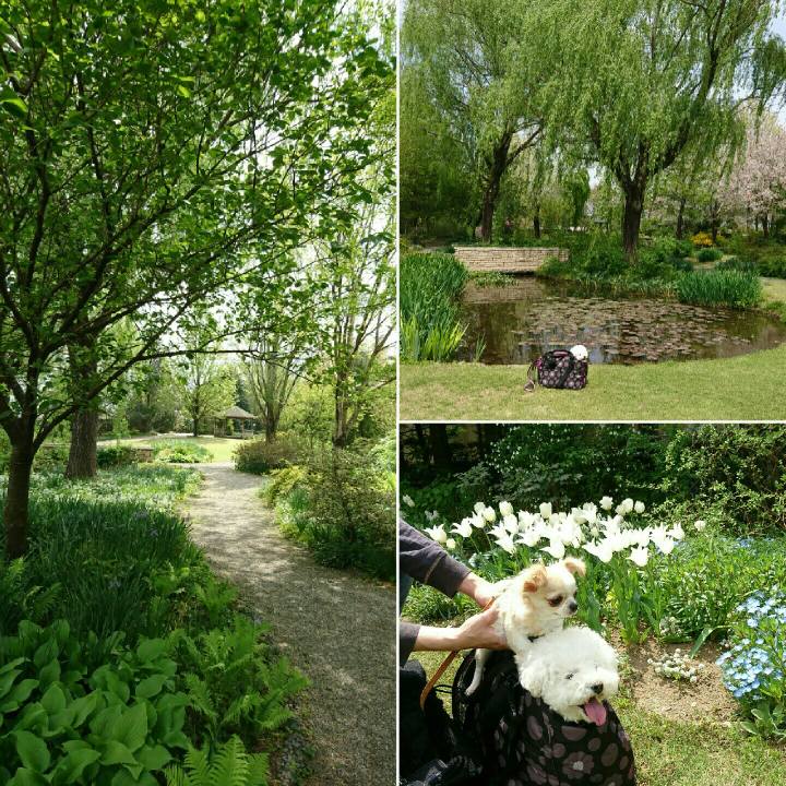 Fc4f84c3 3cd9 4704 b75d 71a8a07a89cc