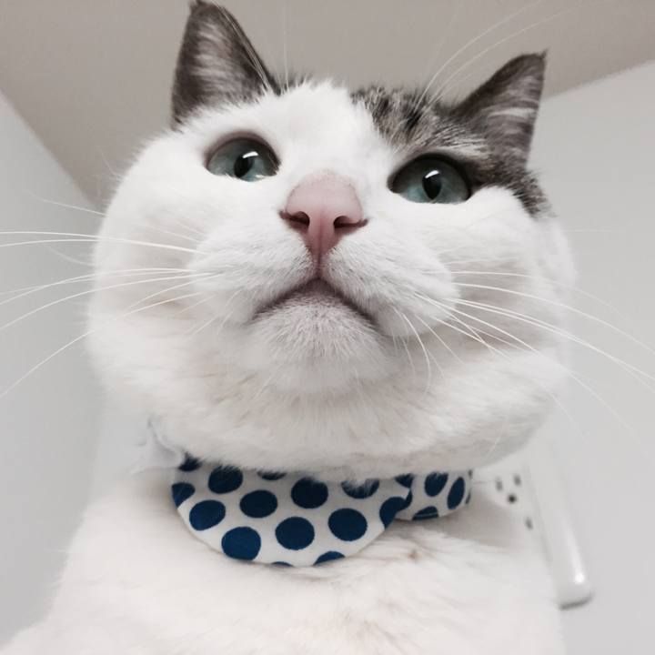 Fc501546 90f9 42ee 8b22 50110b77105a