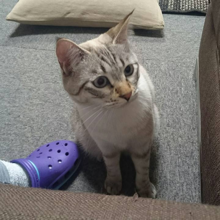 Fc504609 105a 45f5 9efe f9f30f2caefb