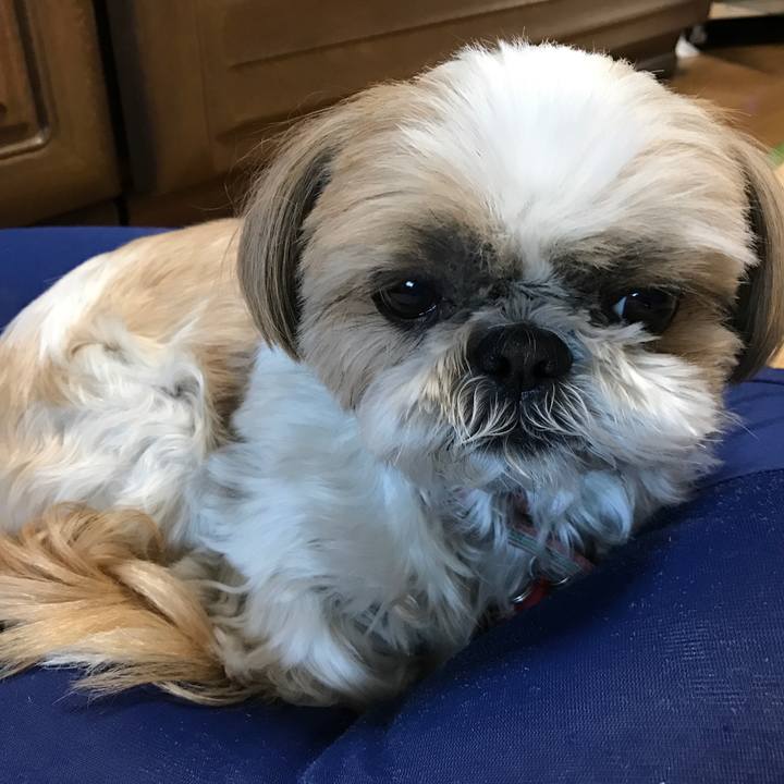 Fc514e1a e1e4 4c01 83f6 b14a3470ad34