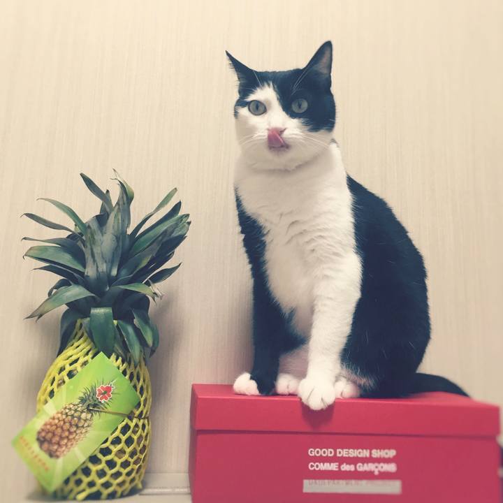 Fc52badd 62fc 47dc b756 dd0a97ba29e9