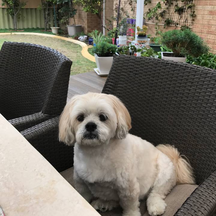 Fc532994 a013 4f8a b265 ec4268ff880a