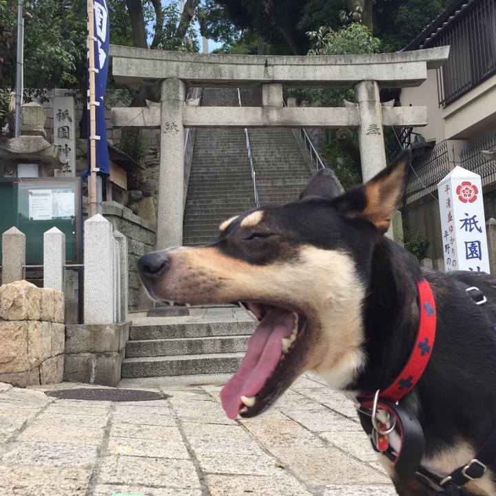 Fc5377e6 8c90 4d26 8b79 86e98ba1011c