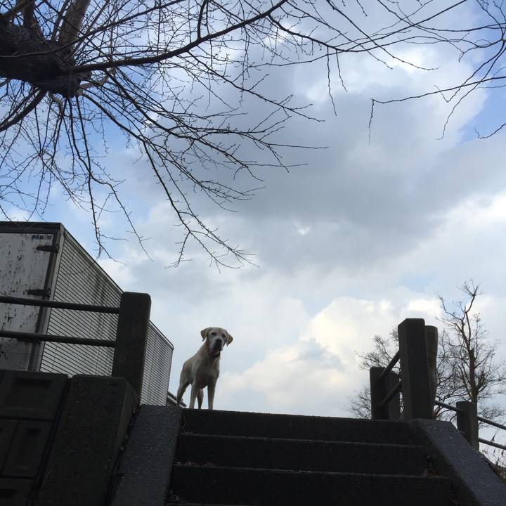 Fc540a80 18f9 4daa 8d4e c76815bebb26