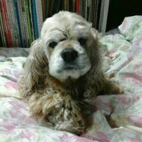 Fc54242a 3b04 4c90 85b3 ab2d70aca59b