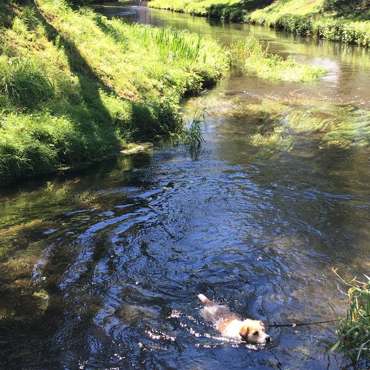 Fc54815b 4957 47db aefc e310e5793d77