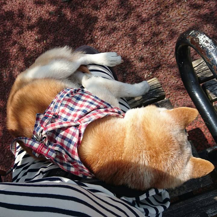 Fc5491e5 3a50 4536 9202 4eaae77a9f62