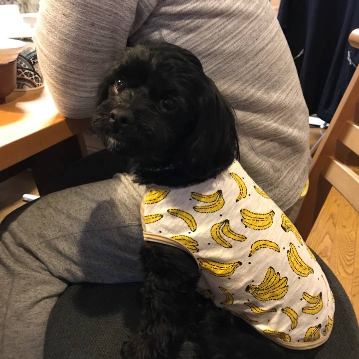 Fc54a7bf 1d33 4571 8544 e1fcc4743954