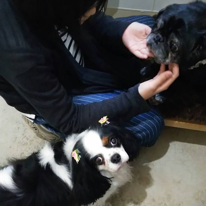 Fc54fe7f f2c4 4fe0 b96b bd1ef6b3048d