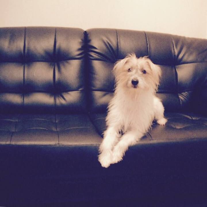 Fc55479f a0b7 4bcd 93cd b585e3d13f75