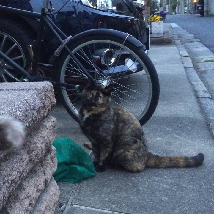 Fc55547a f975 4f92 af38 45fdeac3b767