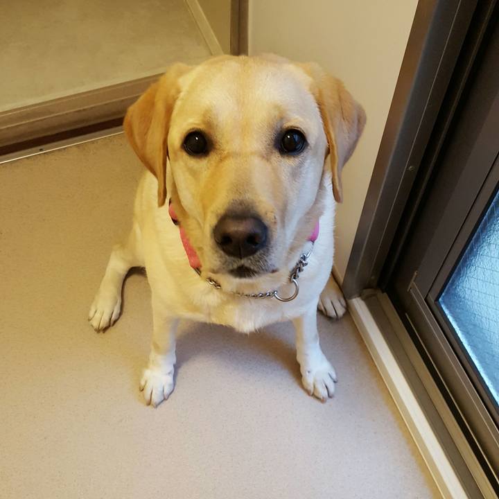 Fc555df8 e21e 49fa 9ec2 cf6cbbc9ba8e