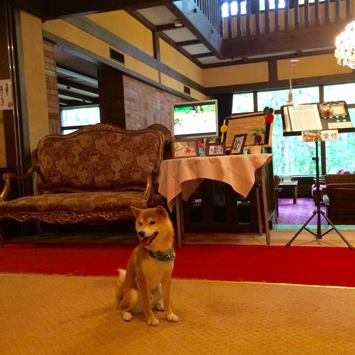 Fc55cc2e 073e 4d1e 8d77 0c9bc540b9a7