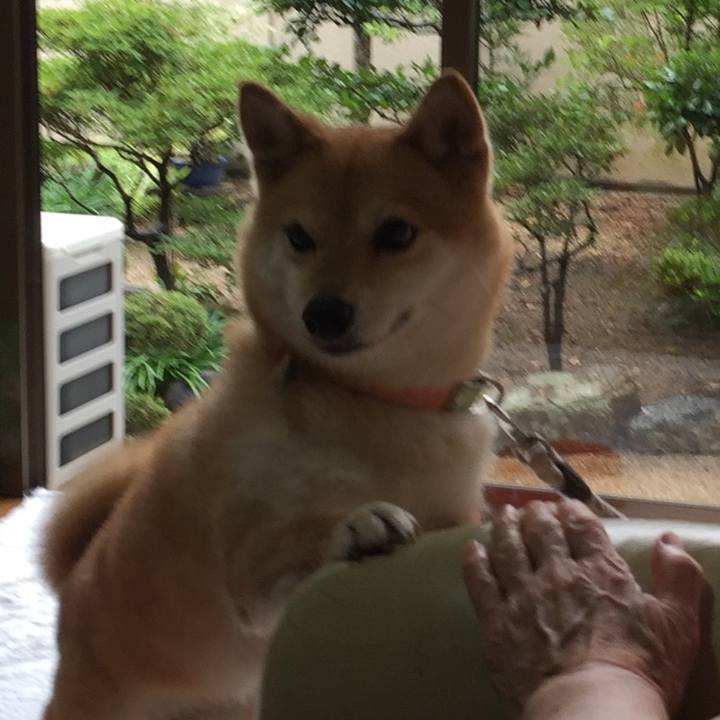 Fc55e497 54d8 404d af7e 3361794fb64b