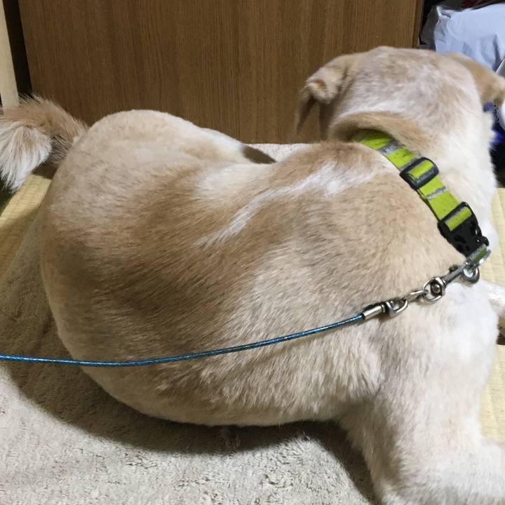 Fc55f0ec 748d 4c57 9e64 3df05673fe09