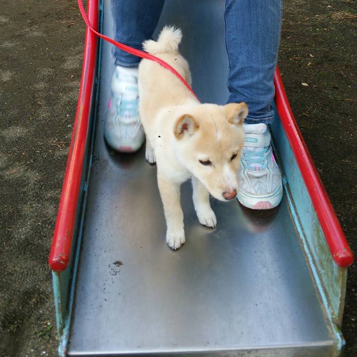 Fc56058a ce31 47b7 8342 8972e0fbd8e6