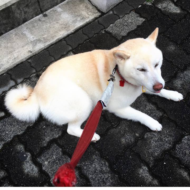 Fc56b3e2 c9d1 4231 a0a2 07e7e1d9cd3d