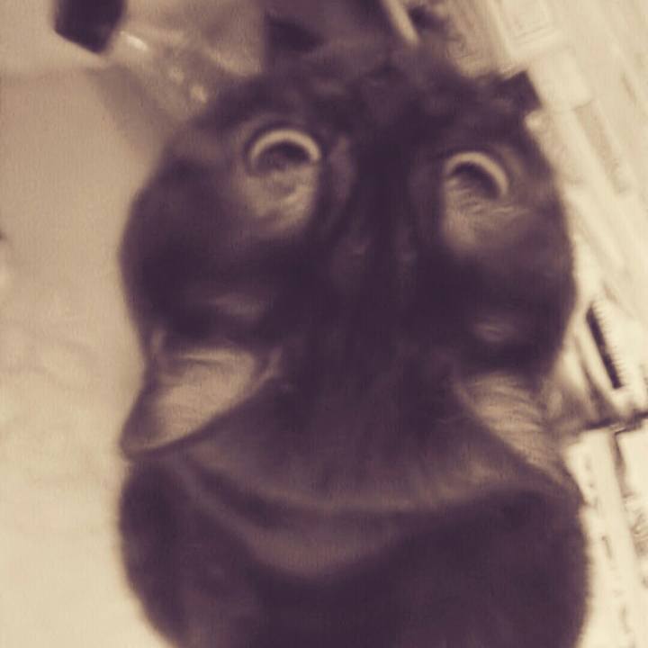 Fc579943 2425 4b53 bad2 88690e2878fa