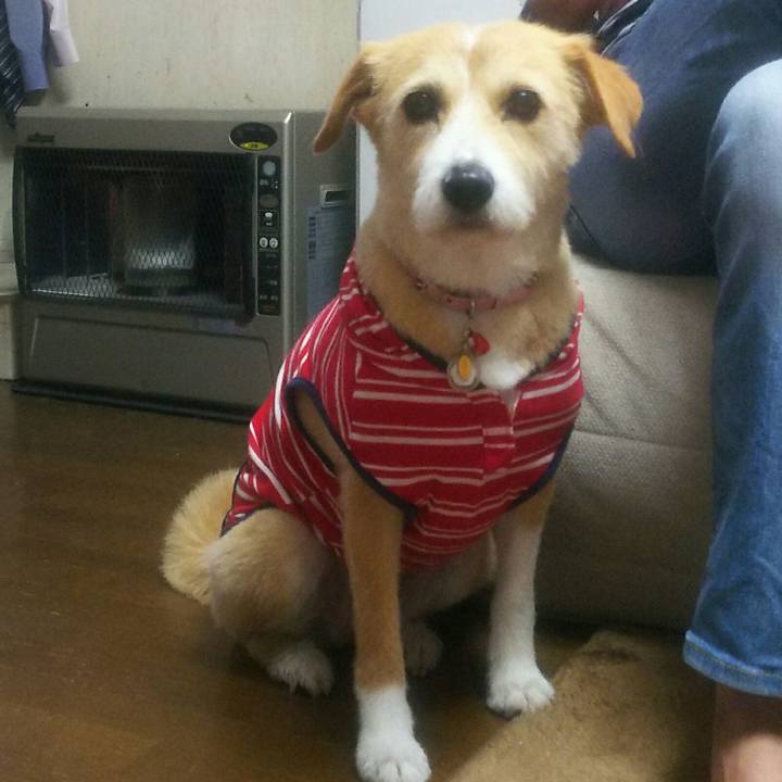 Fc57e629 2b85 4d03 b2eb 902e827fb787