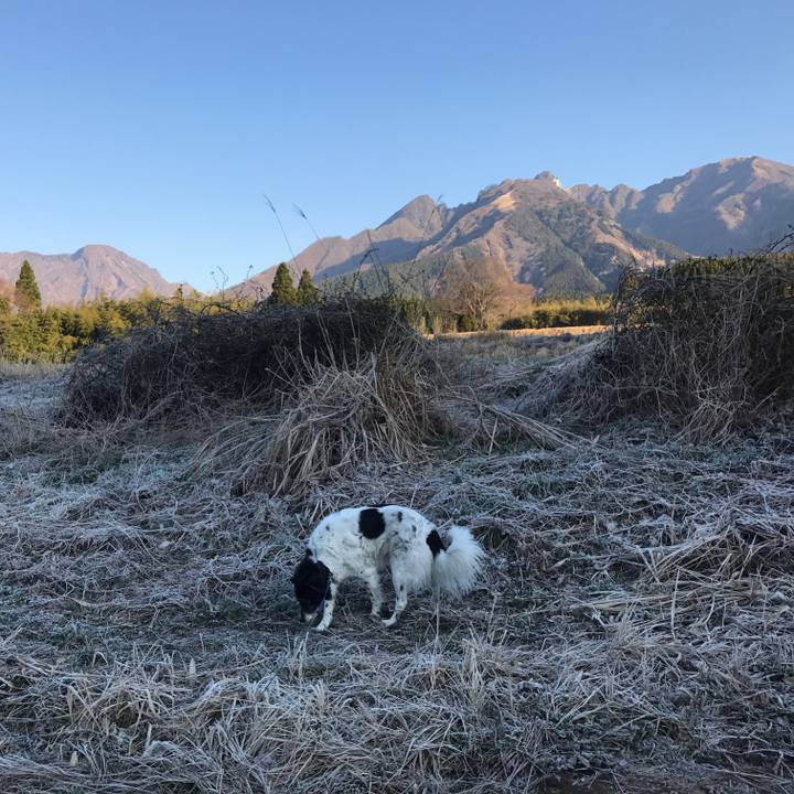 Fc581649 bba0 47b9 9e5d b16044841454