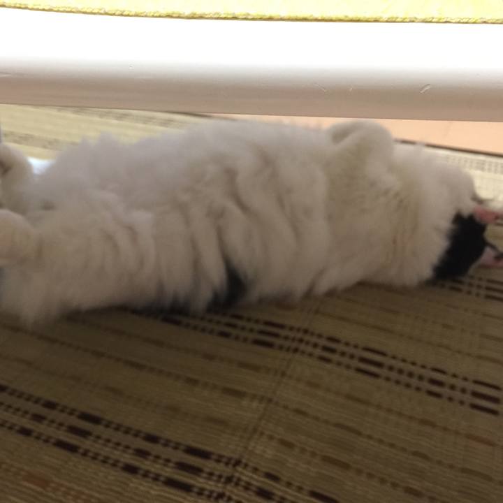 Fc592817 8ef8 4263 a7aa ab3db92ab2b7