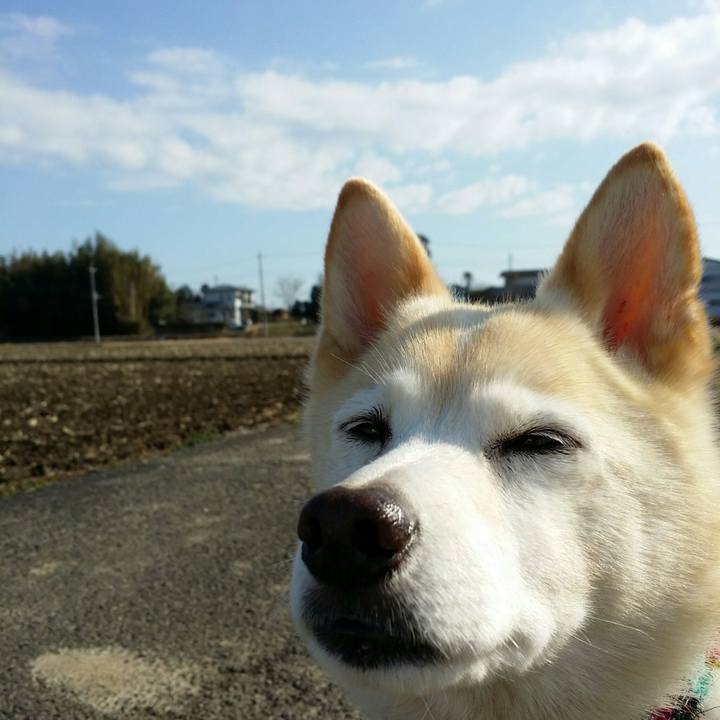 Fc595a60 2d4a 41a4 8c44 8b05ffac1631