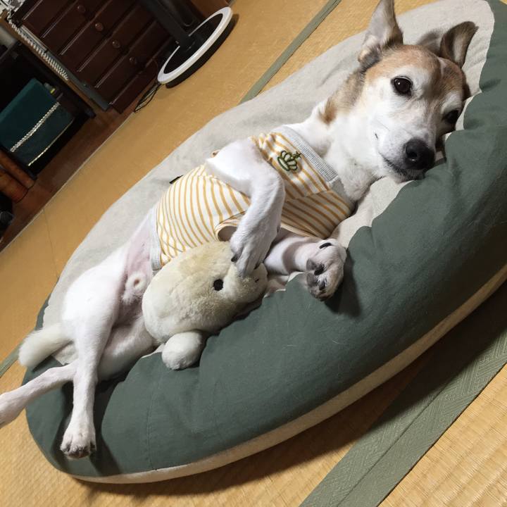 Fc5972c3 ba4e 4930 8973 a362b42bc6a9