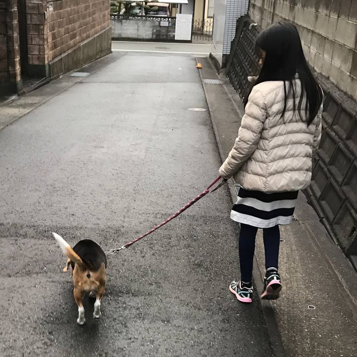 Fc59a2fe b353 4446 9dfc f8e175fc9341