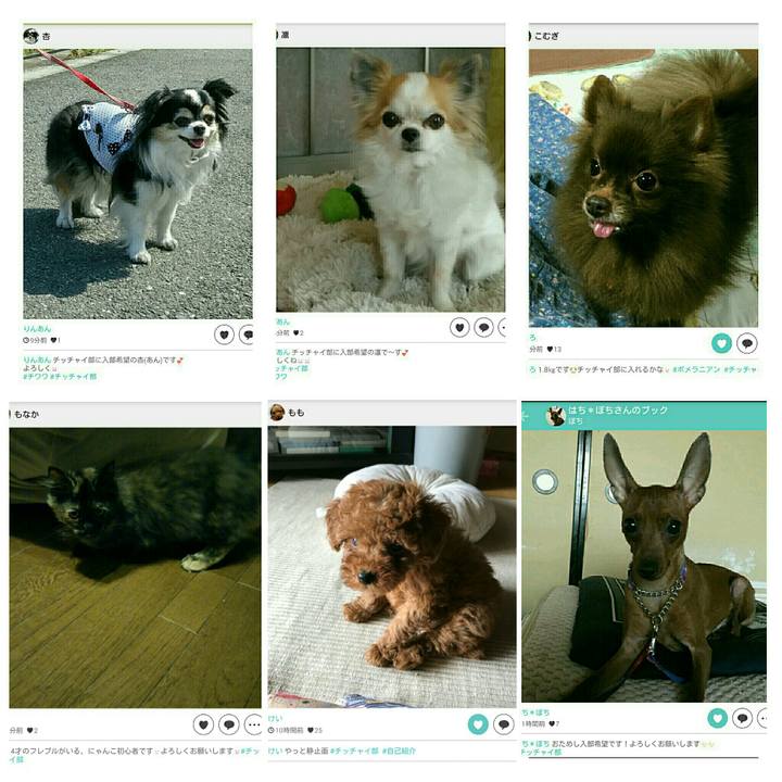 Fc59b4b1 20a0 4968 8de9 df45c2bde13a