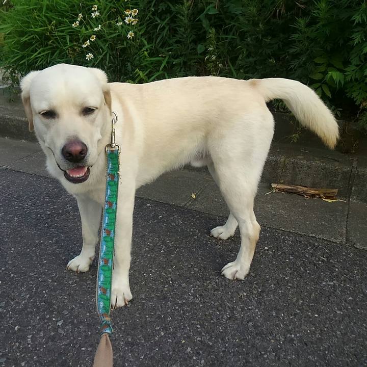 Fc59b949 416c 4a91 8b90 770693e0fb00