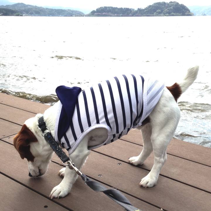 Fc5a7ac1 64e8 4b13 861c a955d4293653