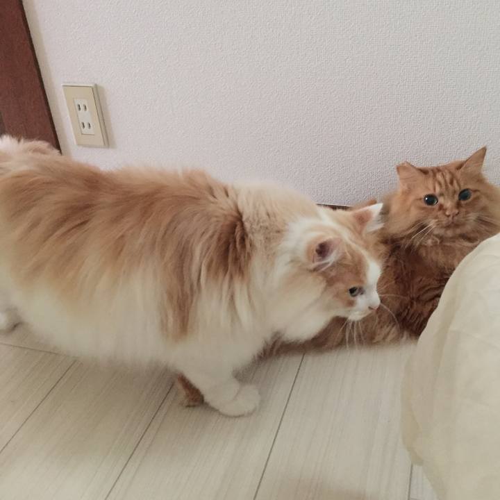 Fc5ad7d5 bd33 419f aef9 2d68594cc7e8