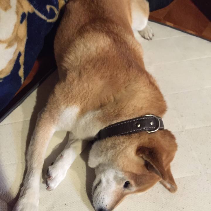 Fc5b7f68 4f30 48e2 b530 efa282f79969