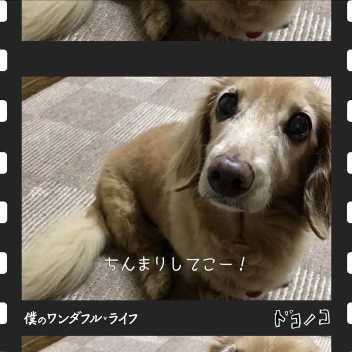 Fc5c3392 fb5a 4cf4 98de 4b900701a3cb