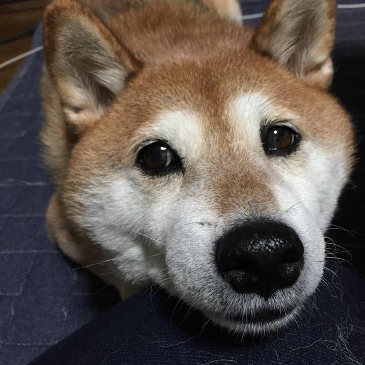 Fc5c5540 1642 4c91 9924 01196668439e