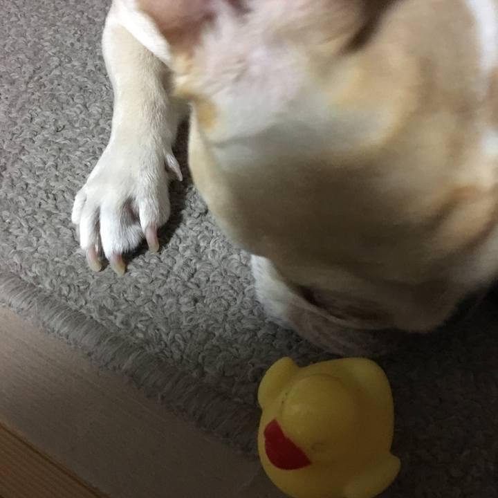 Fc5ca2a5 a526 4852 beaa 4b3cde1cc396