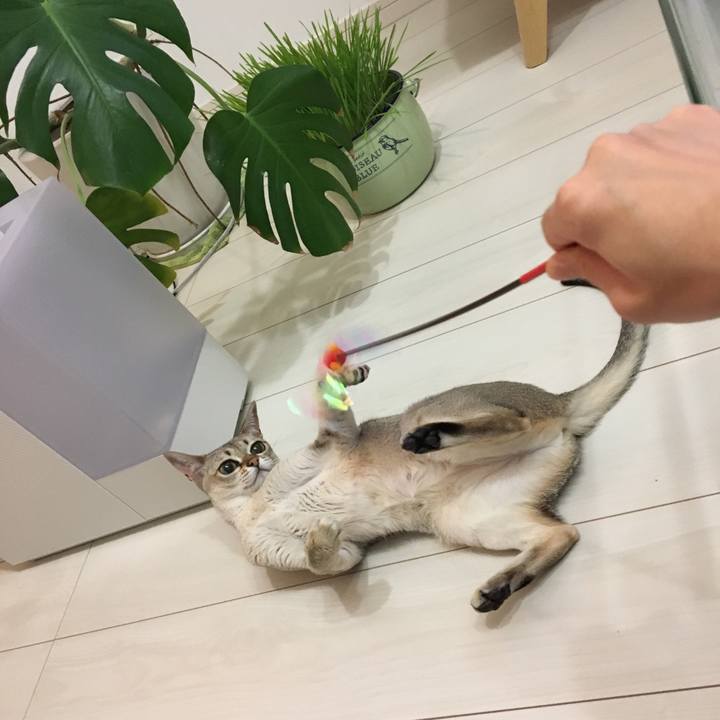 Fc5ccf47 9fd9 4181 81a7 54b987c2b866