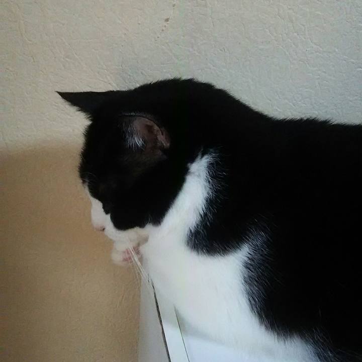 Fc5d204f f92b 4956 8c48 b4d95cce4e17