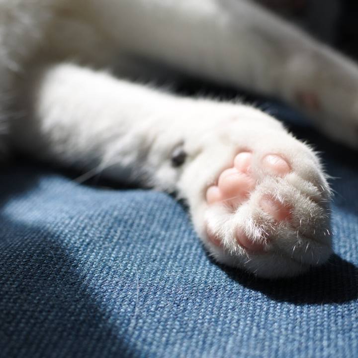 Fc5e15e5 ac30 4188 85bf a566b982b277