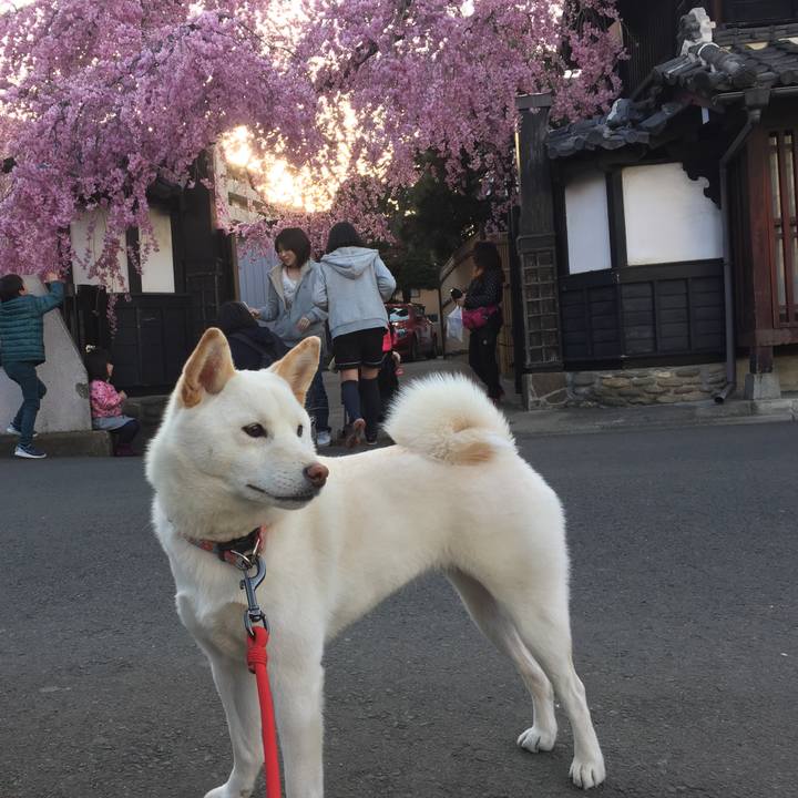 Fc5e29bd eedd 4586 bf36 bc64856d6c6e