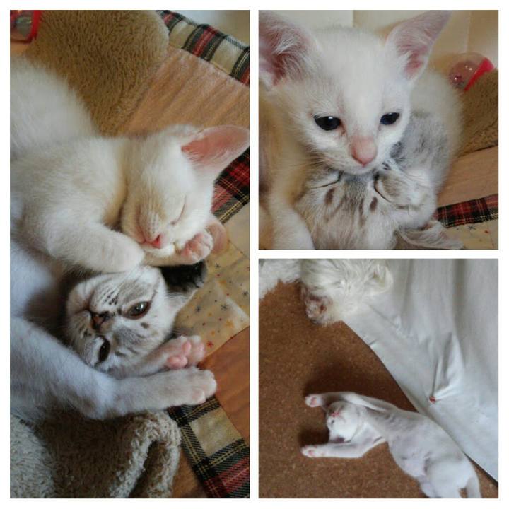 Fc5e7cd0 4c0f 448f 950d bd7cceb1bf25