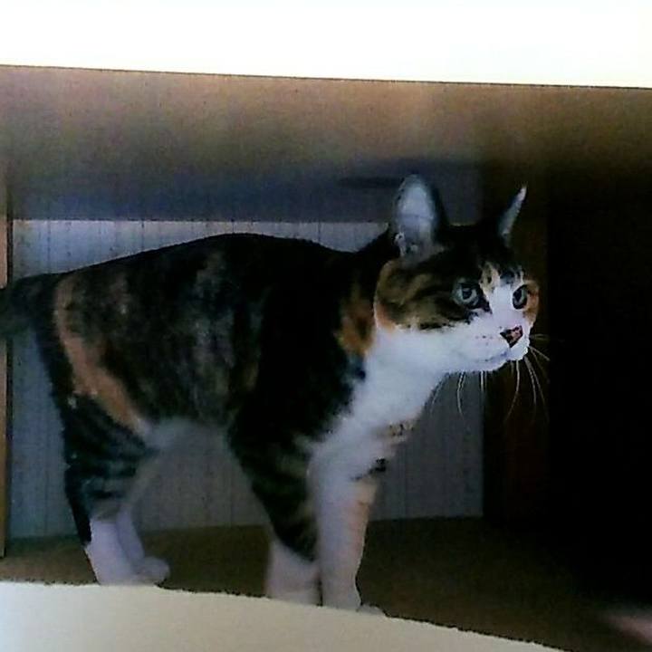 Fc5ea1d2 b6a1 4a45 a1ee a4e968a89001